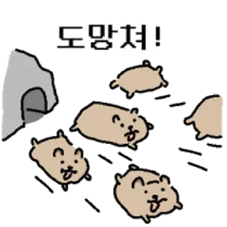 Telegram sticker 😀 바위너굴쓰