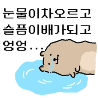 Telegram sticker 😀 바위너굴쓰