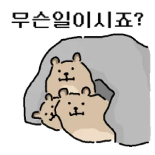 Video sticker 😀 바위너굴쓰