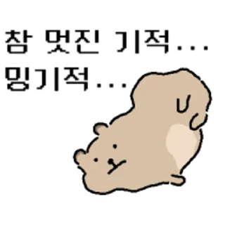 Video sticker 😀 바위너굴쓰