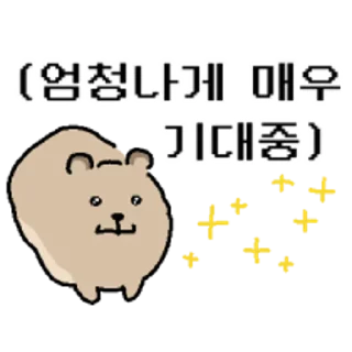 Video sticker 😀 바위너굴쓰