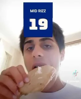 Telegram sticker 🐷 <33