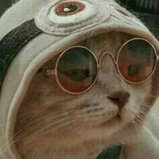 Telegram sticker ✨ @Bloodycatan's Pack 1