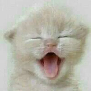 Telegram sticker ✨ @Bloodycatan's Pack 1