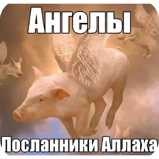 Telegram sticker 🐷 Гойда:: @fStikBot