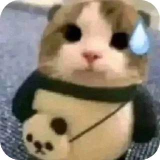 Telegram sticker 👍 Hansitoo