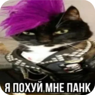 Telegram sticker 🤘 Больше стиков тут: @stikery4