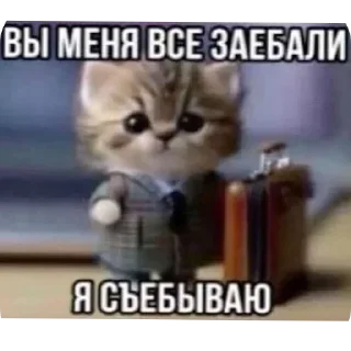 Telegram sticker 🧳 Больше стиков тут: @stikery4