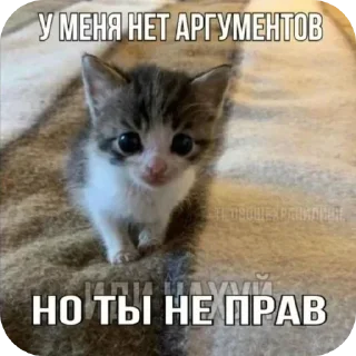 Telegram sticker 🐱 Больше стиков тут: @stikery4