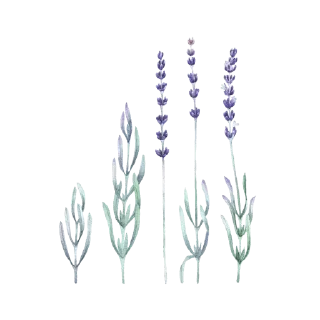 Телеграм стикер 🤎 @nice_stuff_4u  Flowers — @stckrRobot