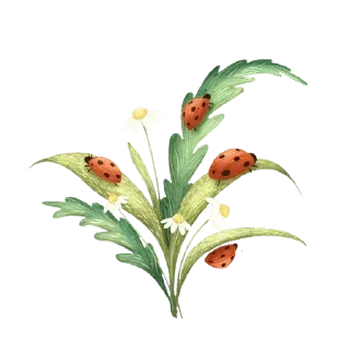 Телеграм стикер ✨ @nice_stuff_4u  Flowers — @stckrRobot