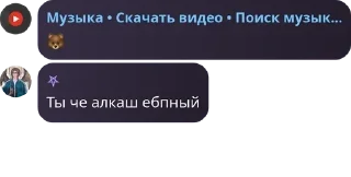 Video sticker 🐻 кволин