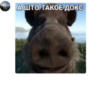 Sticker 🍌 кволин