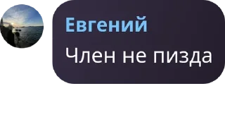 Telegram sticker 🦩 кволин