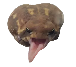 Sticker 🥵 jabas @jjabasadmin