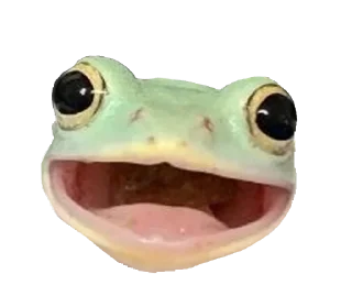 Video sticker 😀 jabas @jjabasadmin