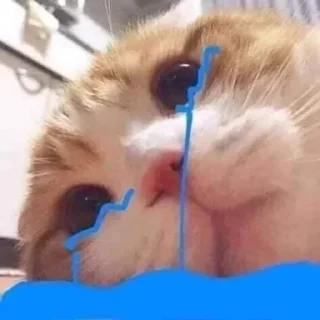 Telegram sticker 🍳 @NJ1JJ | @al90l