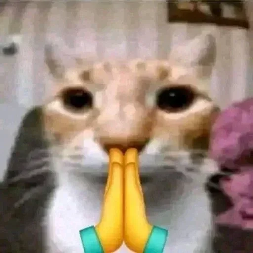 Telegram stiker 🙏 @lipemoney