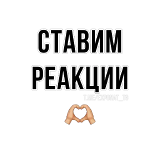Video sticker 👍 Стикеры Exponat