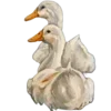 Sticker 🦢 Больше эмодзи 👉 @Emojitgpremiumm @TgEmodziBot