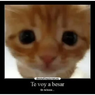 Telegram sticker 😙 Franco's dick @Nico1802x