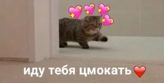 Telegram sticker 😘 Больше стиков тут: @archstick