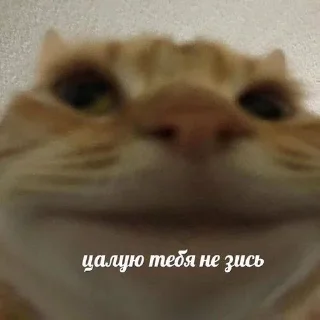 Telegram sticker 😙 Больше стиков тут: @archstick