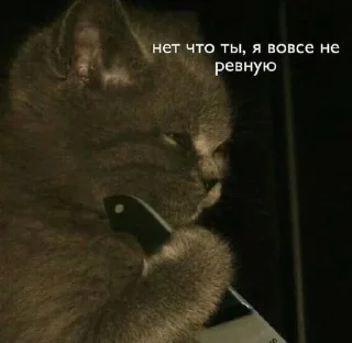 Telegram sticker 😠 Больше стиков тут: @archstick