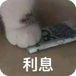 Video sticker 🫥 A组专用