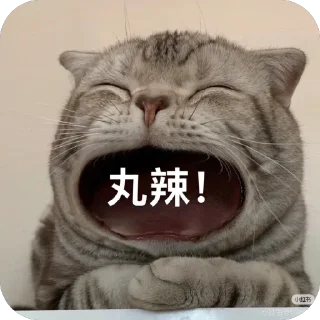 Telegram sticker 🫥 A组专用