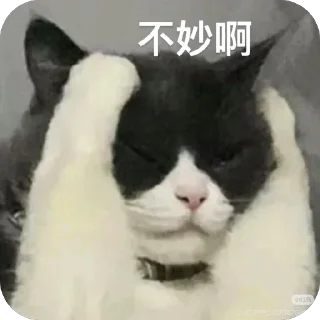 Telegram sticker 🫥 A组专用