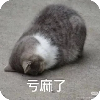 Video sticker 🫥 A组专用