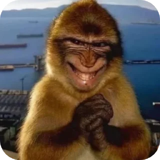 Telegram sticker 🤲 Nasty