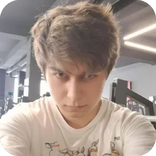 Telegram sticker 😞 БАТЬКА ЭЙРИЛИ | @logovoGraunda