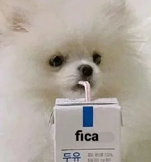 Video sticker 😐 ah shit, here we go again! @akiiyu