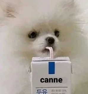 Video sticker 😐 ah shit, here we go again! @akiiyu