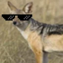 Sticker 😎 ебучий шакал