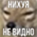 Telegram sticker 😑 ебучий шакал