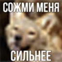 Telegram sticker 😋 ебучий шакал