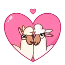Video sticker 😘 Lama