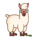 Video sticker 😲 Lama