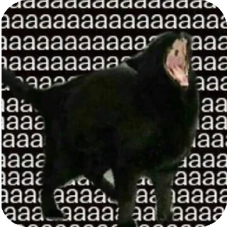 Telegram stiker 🗣 Blackie