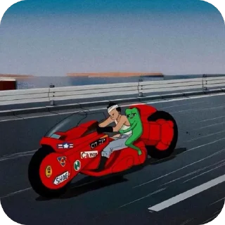 Video sticker 🫥 FWOG