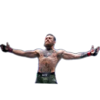 Video sticker ✋ FIGHT ID - by @MIMYO01