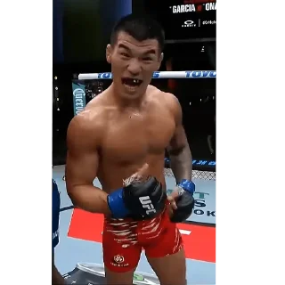 Telegram sticker 💪 FIGHT ID - by @MIMYO01