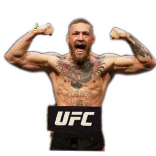 Video sticker 💪 FIGHT ID - by @MIMYO01