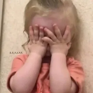 Video sticker 😳 سلحوفة