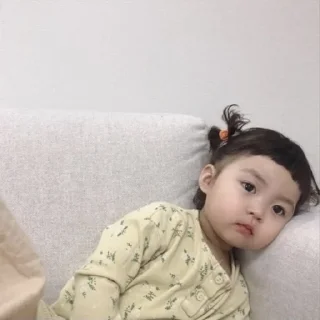 Телеграм стикер ☹️ سلحوفة
