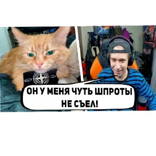 Telegram sticker 🐱 Таксист гз