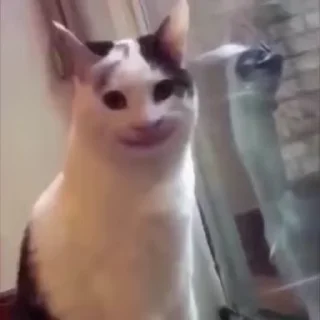 Video sticker 😈 3MK ----) @NAJMAWY